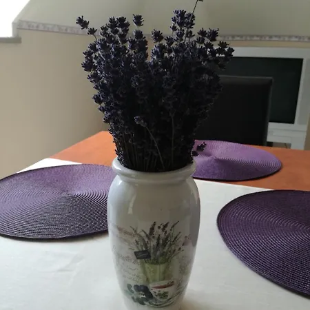 Negy Evszak Vendeghaz Penzion 3*